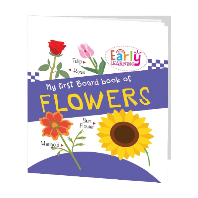 Educational Activity Books